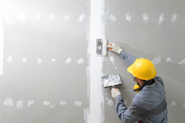 Mold Remediation for Rental Properties in Ahoskie, NC