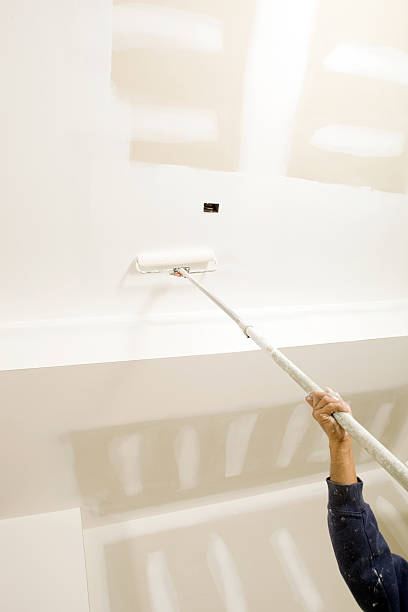 Best Mold Documentation for Insurance Claims  in Ahoskie, NC